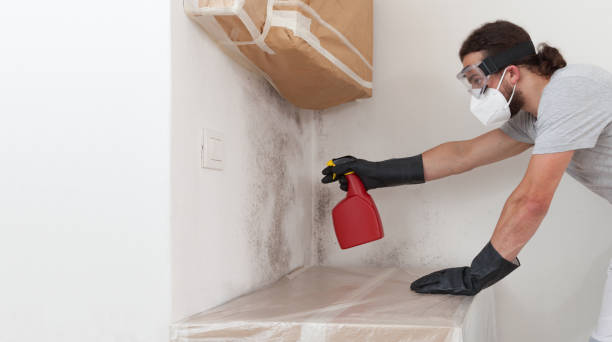 Professional Mold Testing technician working in Highland, IL