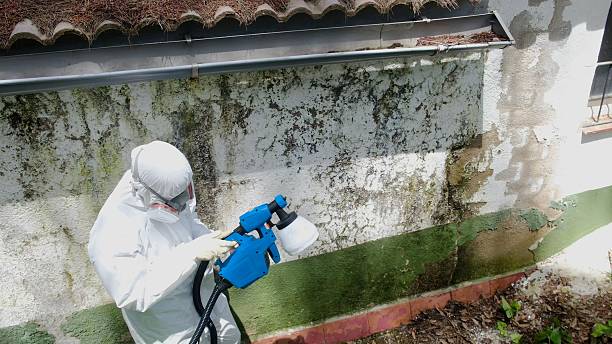 Trusted Mold Testing service in Highland, IL - Cheap Mold Removal